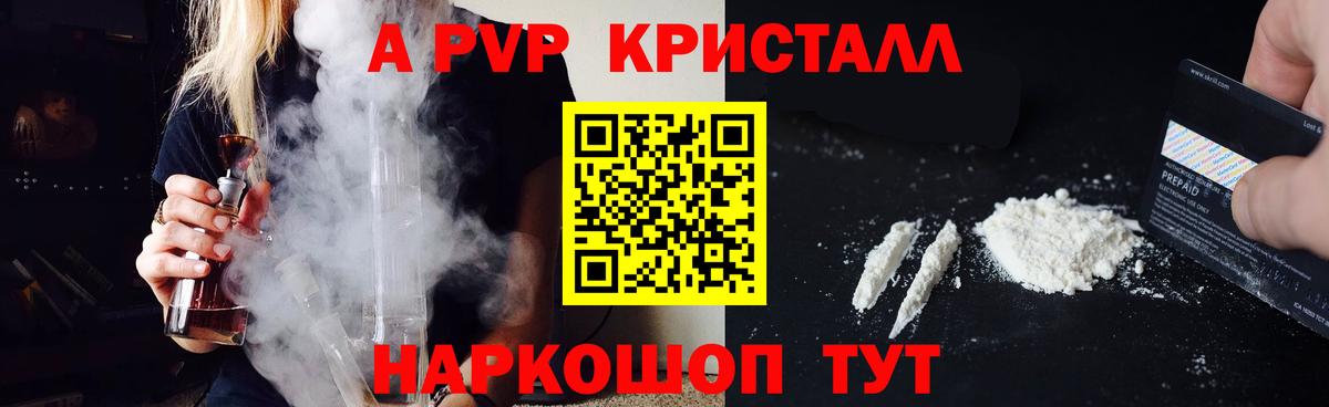 A PVP СК Новый Уренгой