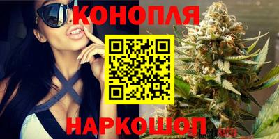 прущие грибы Пушкино