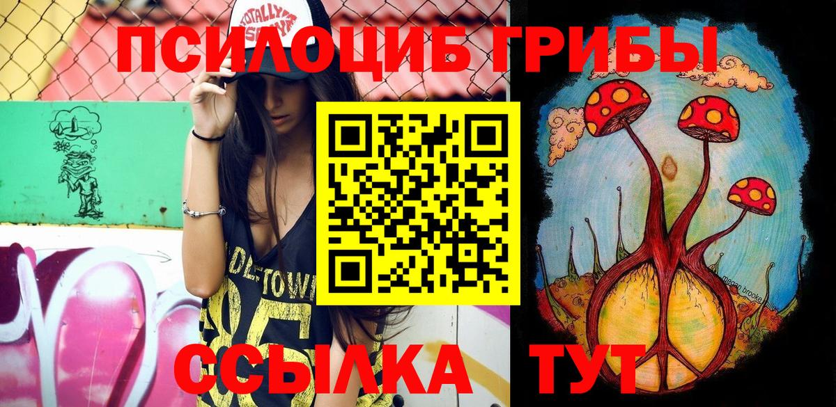Псилоцибиновые грибы GOLDEN TEACHER  Псилоцибиновые грибы мицелий  Вход с VPN  Новый Уренгой 